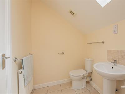 Picture 29